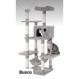 La familia creció gata